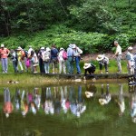 島田湿地観察会