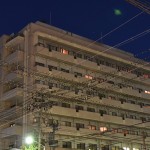 平針駅前のムクドリのねぐら