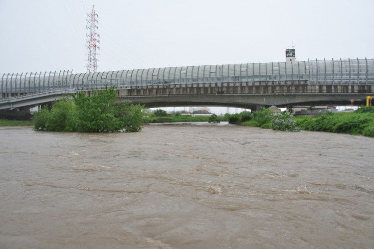 天白川は東海豪雨以来の水かさ