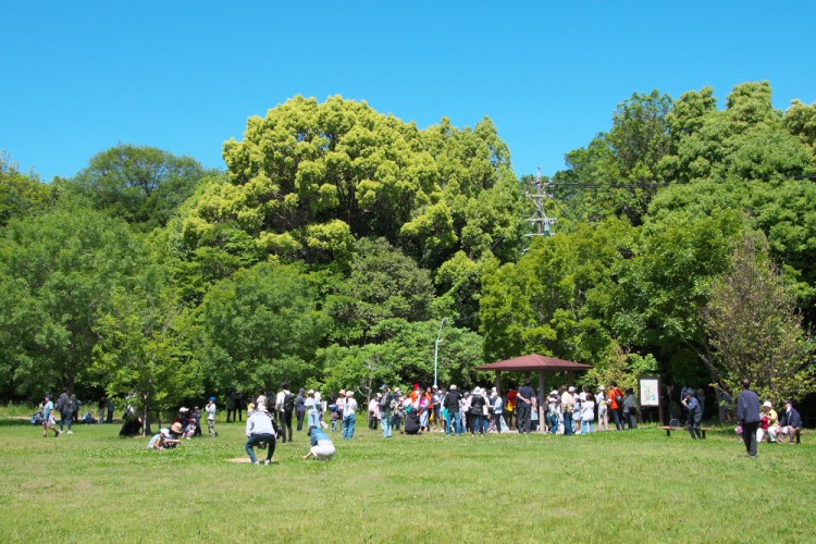 平針学区 歩け歩けフェスタひらばり