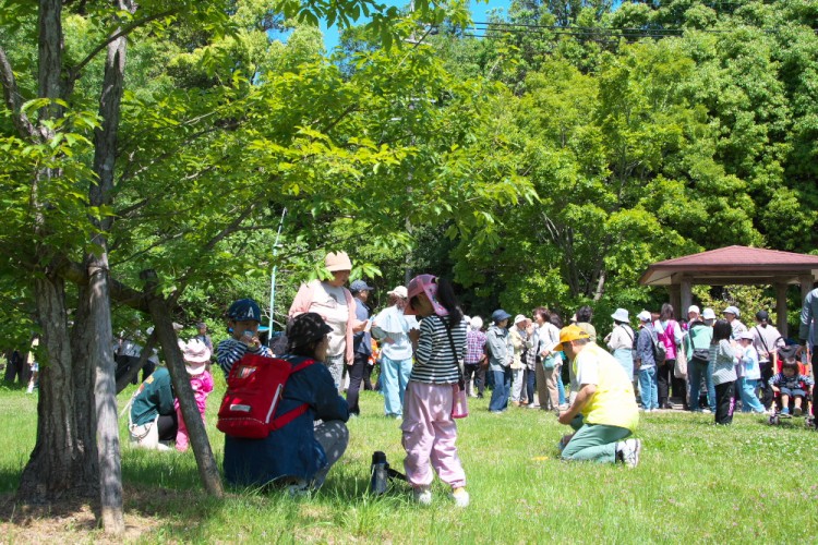 平針学区 歩け歩けフェスタひらばり