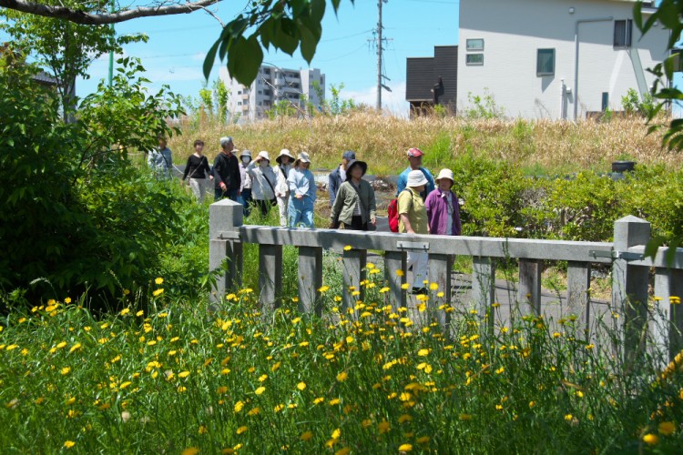 平針学区 歩け歩けフェスタひらばり