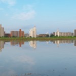 今朝の風景