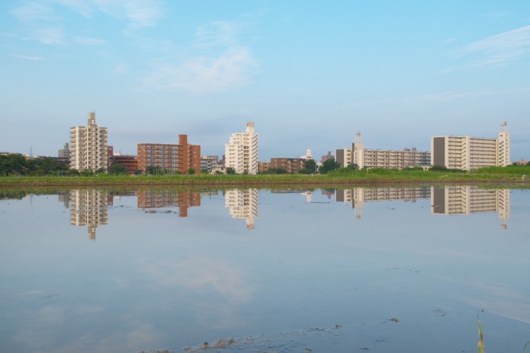 今朝の風景