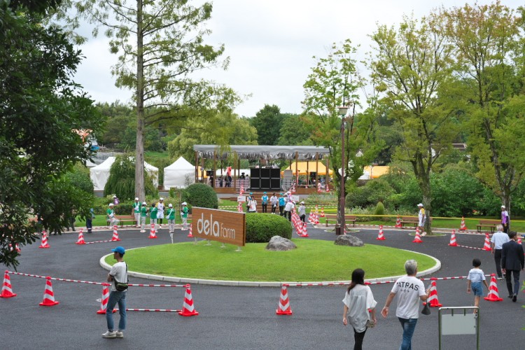 ZAB_6201